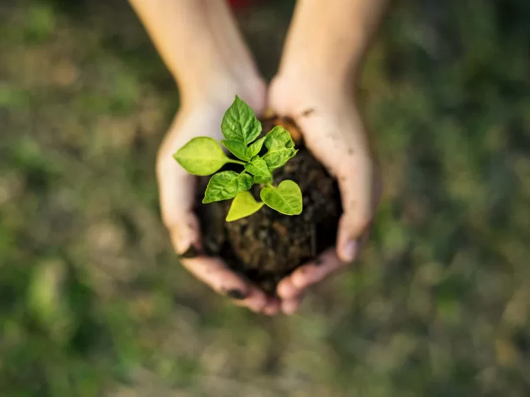 ENGIE-Cofely-sustainable-f